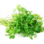 1786849-bouquet-of-parsley-on-white-040214-864.jpg