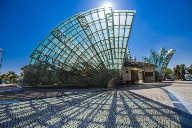 Tag dyrene med uden for