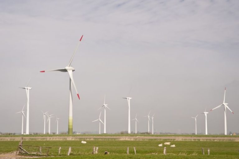 Tænk på dem som kommer efter os