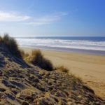 dunes-background-1113tm-bkgd-195.jpg