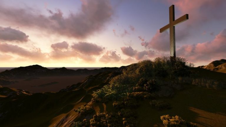 Bliv algerne kvit ? nemt og hurtigt