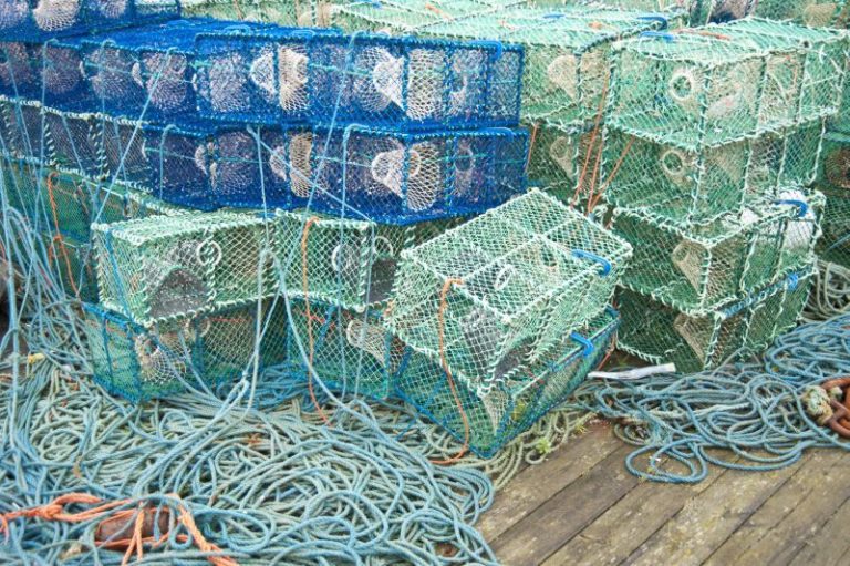 Husker du at bruge krydderier